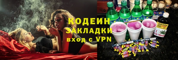 шишки Надым
