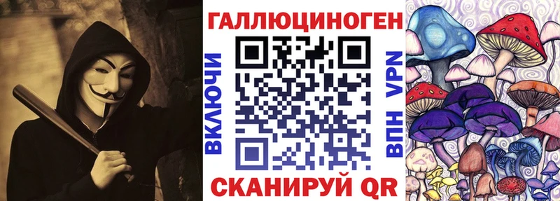 Псилоцибиновые грибы Cubensis Новопавловск